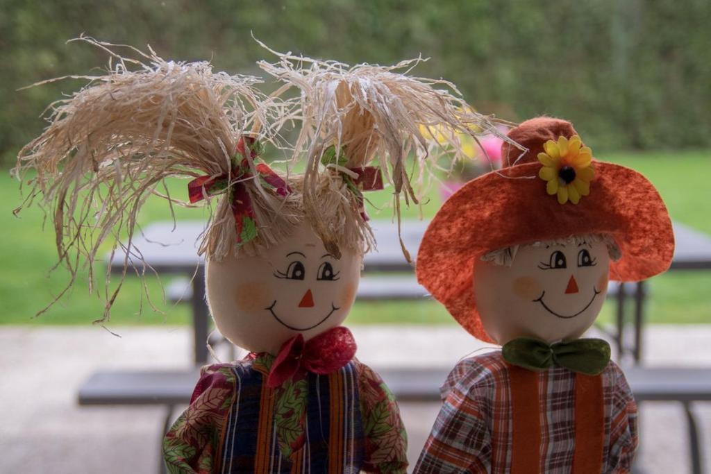 Groepsaccommodatie Kom In De Bedstee Sprookje Winterswijk Exterior foto